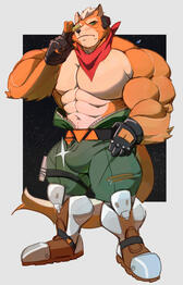 Fox Mccloud Fox Mccloud